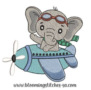 Elephant in aeroplane