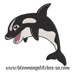 Orca Whale