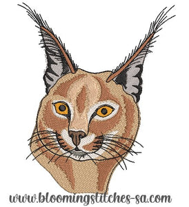 Caracal Head