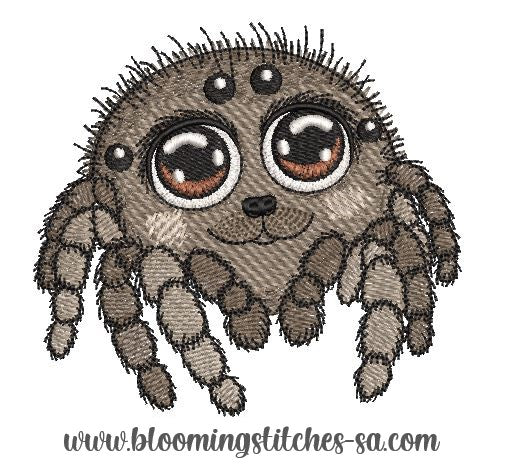 Big Eyes Jump Spider