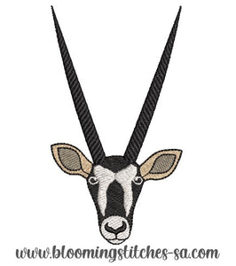 Gemsbok / Oryx Head
