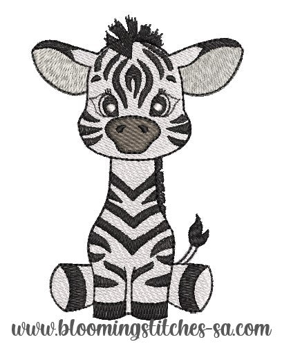 Safari Zebra