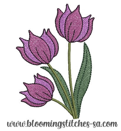 Tulips 1